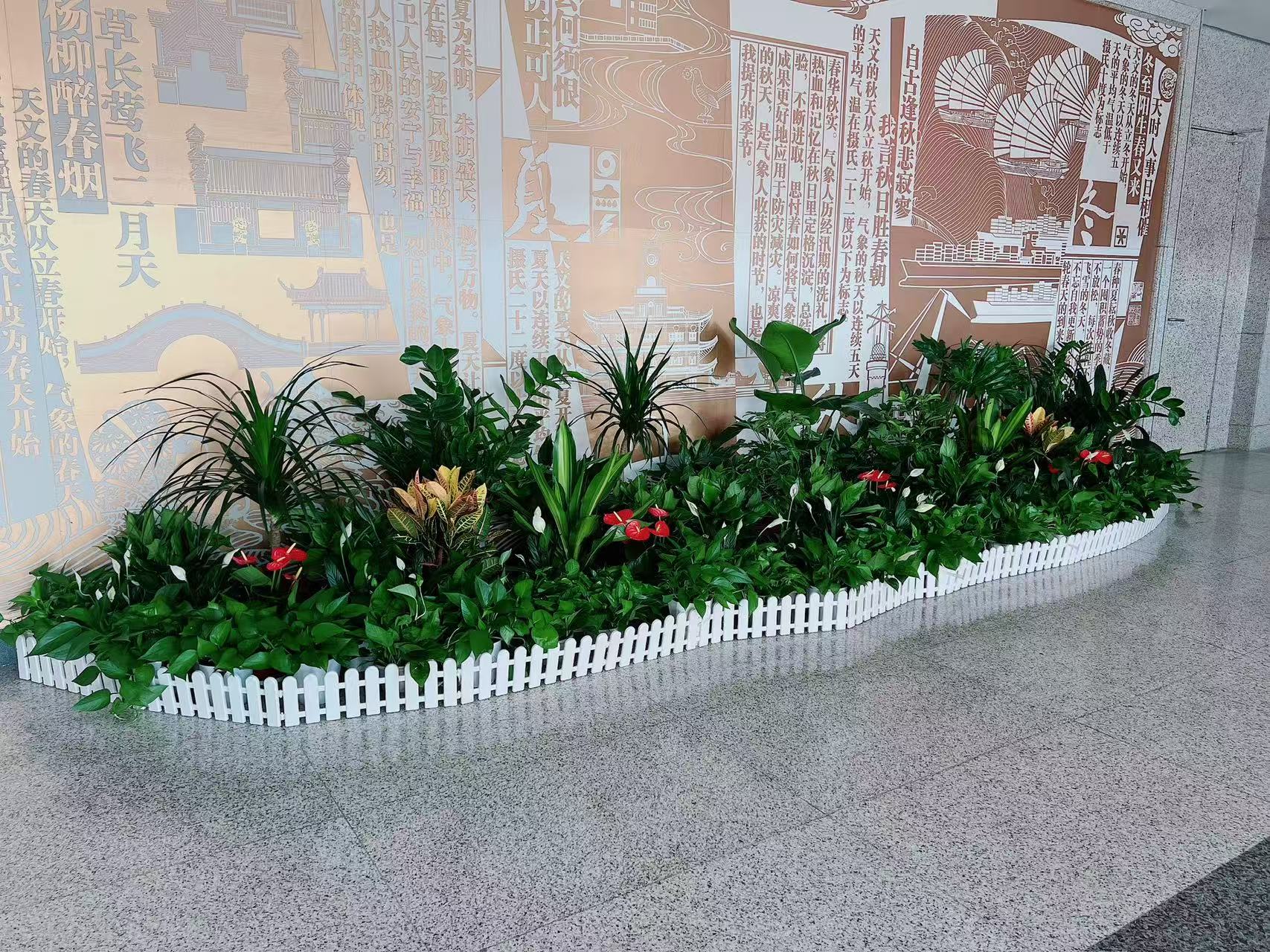 奉化植物租赁专业